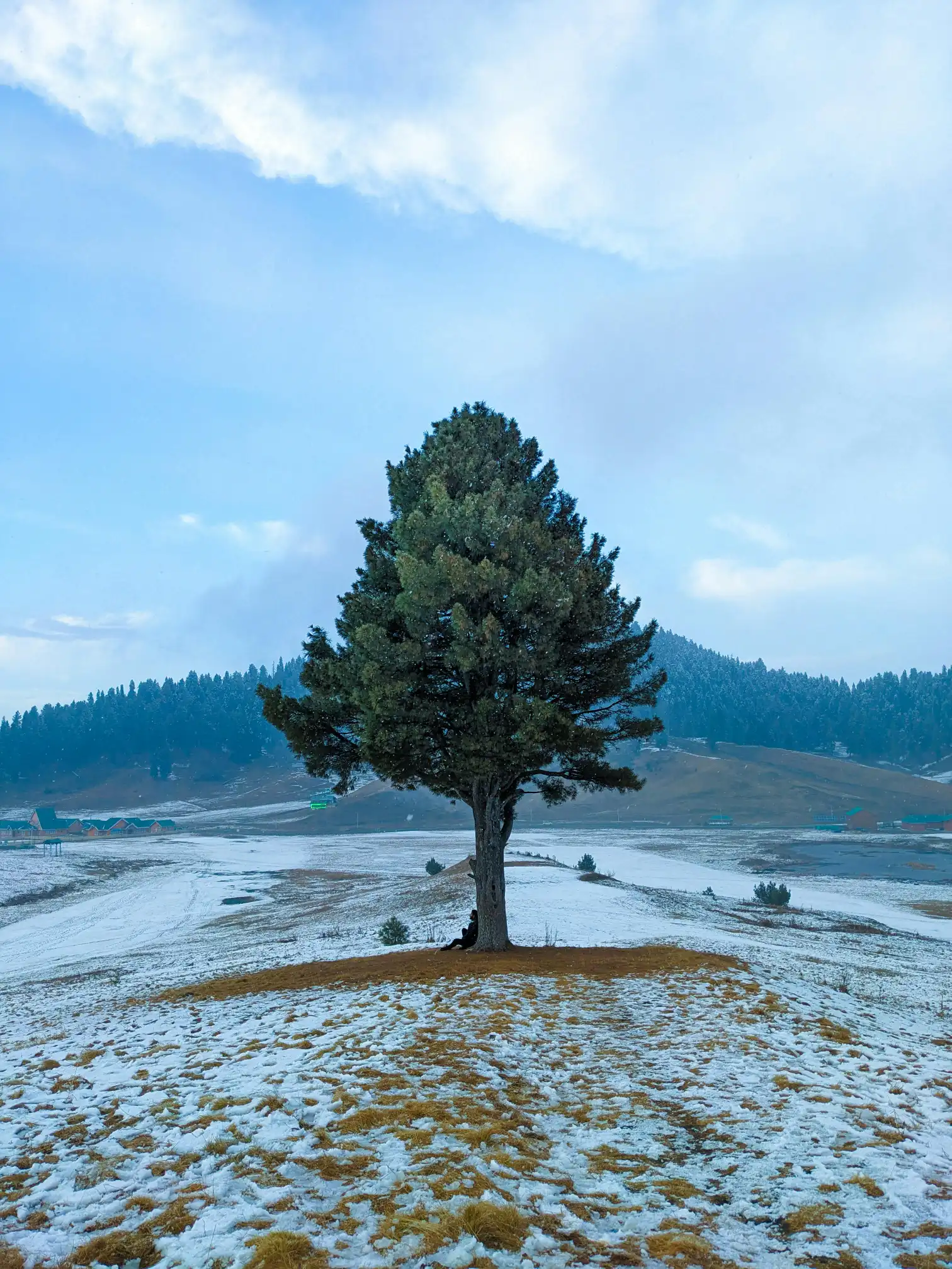 Gondola Ride & Skiing in Gulmarg